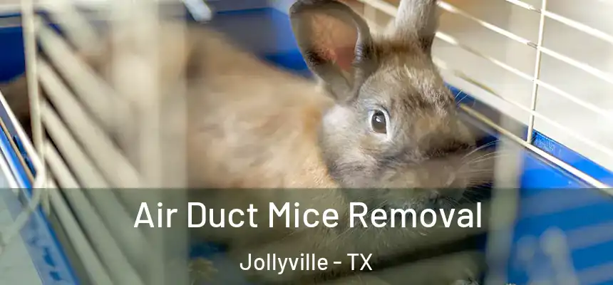 Air Duct Mice Removal Jollyville - TX