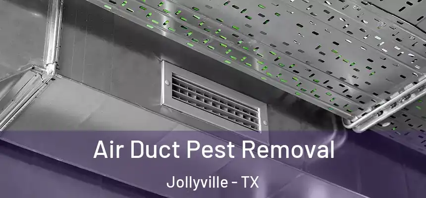  Air Duct Pest Removal Jollyville - TX