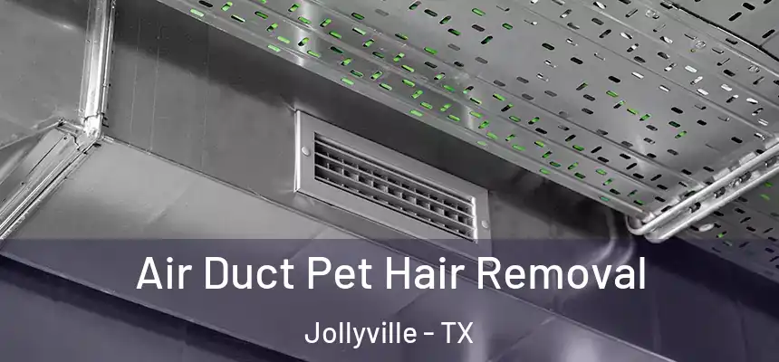 Air Duct Pet Hair Removal Jollyville - TX