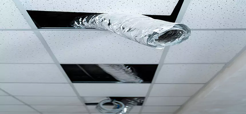 Affordable HVAC Sanitizing After Pest Removal in Jollyville