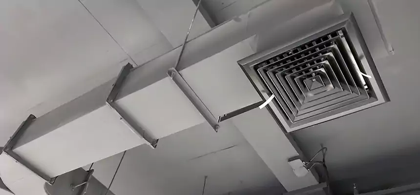 Restorative Allergy Relief Vent Cleaning – Coil, Blower & Housing Detail in Jollyville