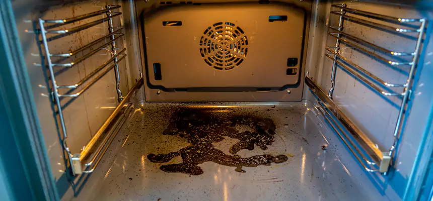 Our Dryer Vent Mold Cleaning Services in Jollyville, TX