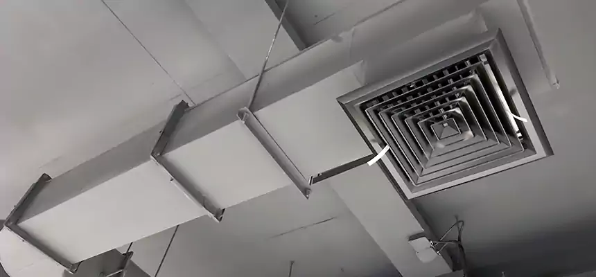 Our Pest Removal From Ducts Services in Jollyville, TX