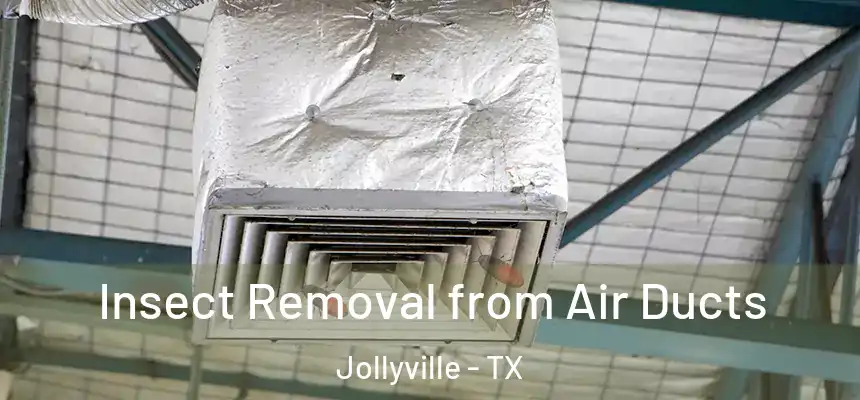  Insect Removal from Air Ducts Jollyville - TX