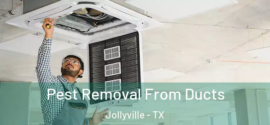  Pest Removal From Ducts Jollyville - TX