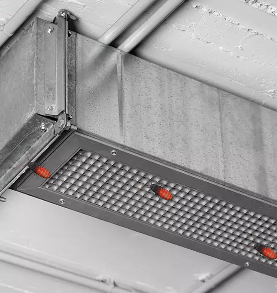 About Air Duct Cockroach Removal in Jollyville, TX