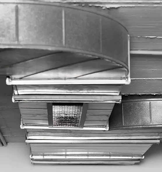 Professional Air Duct Pest Removal in Jollyville, TX