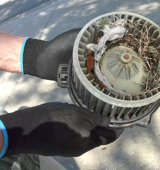 About Air Duct Rat Removal in Jollyville, TX