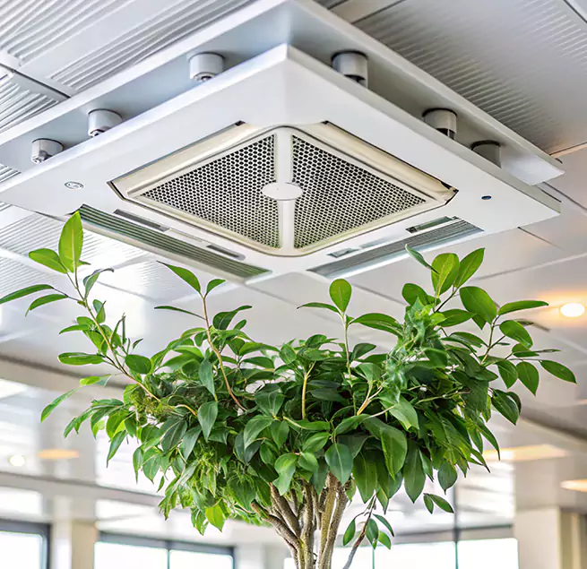 Why Homeowners & Businesses Trust Us in Jollyville, TX?