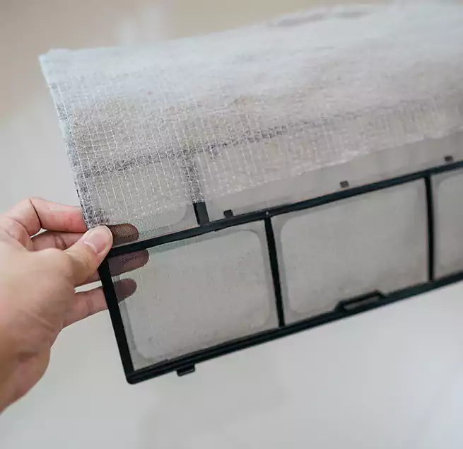 Why Homeowners & Businesses Trust Us in Jollyville, TX?