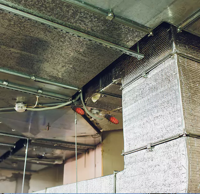 Why Homeowners & Businesses Trust Us Jollyville, TX?