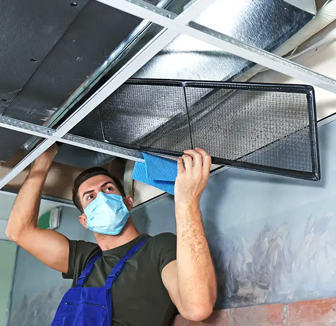 Why Homeowners & Businesses Trust Us in Jollyville, TX?