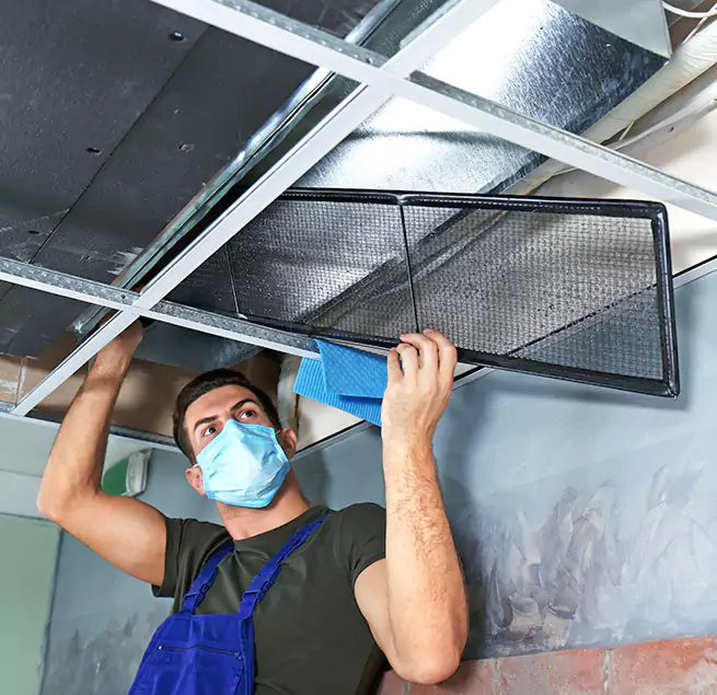  Why Homeowners Businesses Trust Us  in Jollyville, TX?